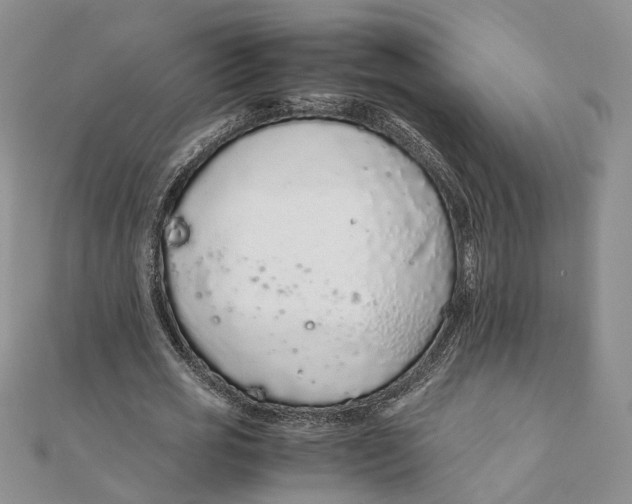 X0000111880725200908131633