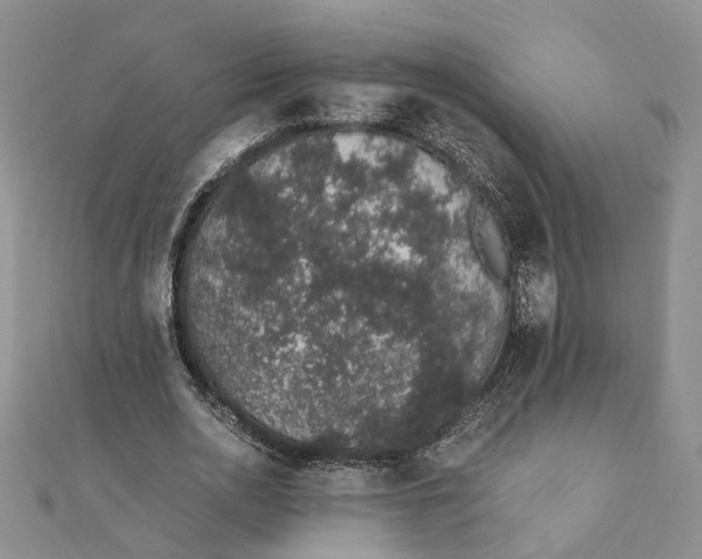 X0000111880726200908131633