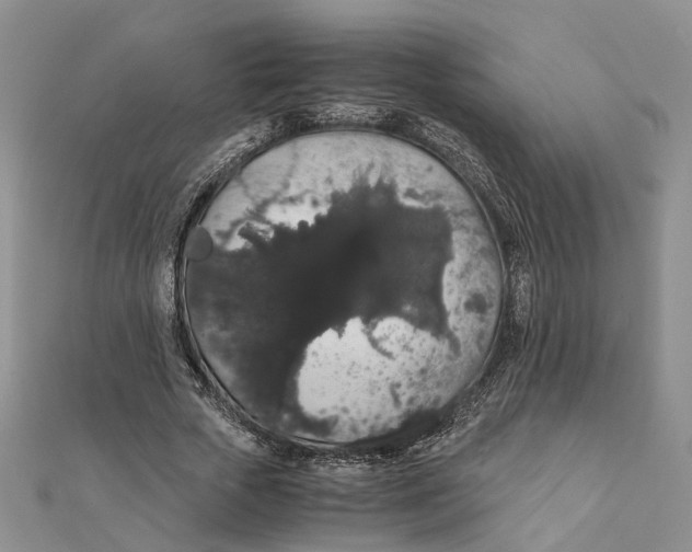 X0000111880729200908131633