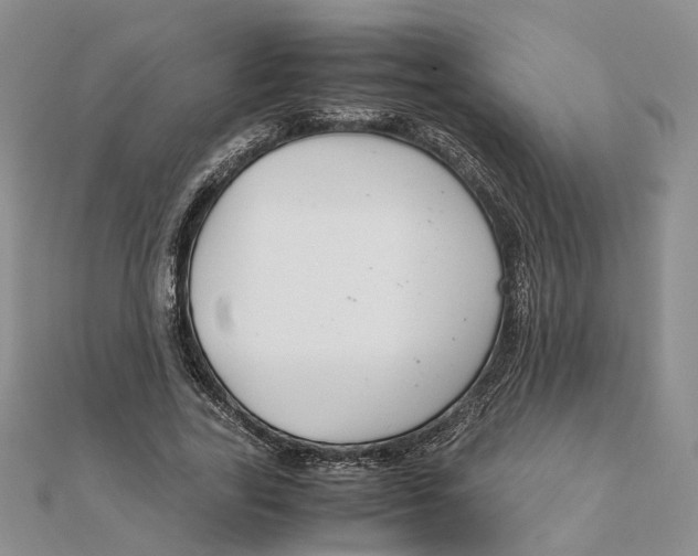 X0000111880731200908131633