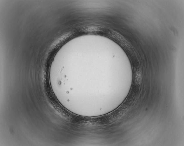 X0000111880732200908131633