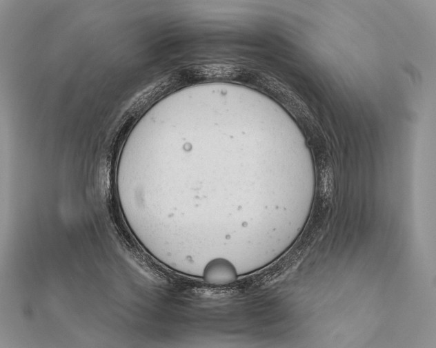 X0000111880733200908131633