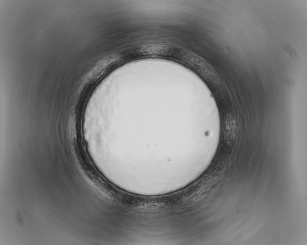 X0000111880734200908131633