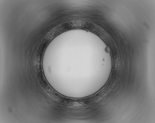 X0000111880737200908131633