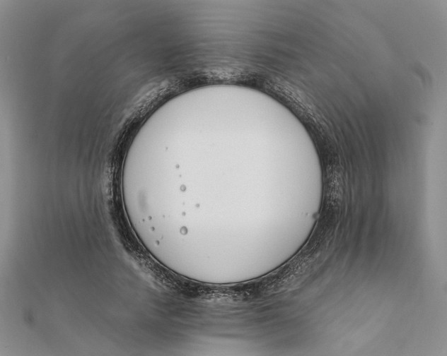 X0000111880738200908131633