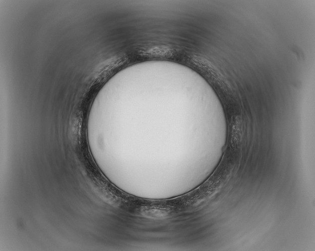 X0000111880739200908131633