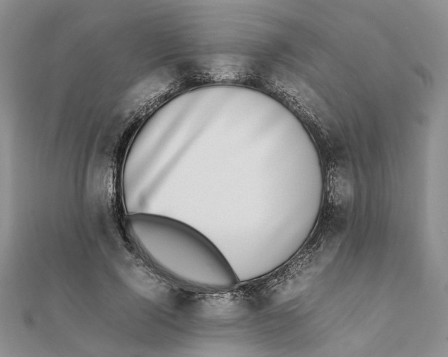 X0000111880740200908131633