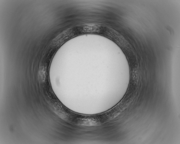 X0000111880741200908131633