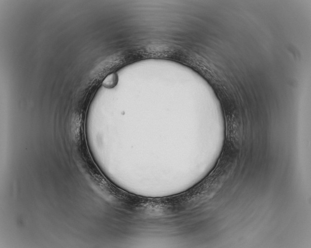 X0000111880742200908131633