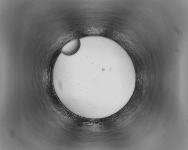 X0000111880743200908131633