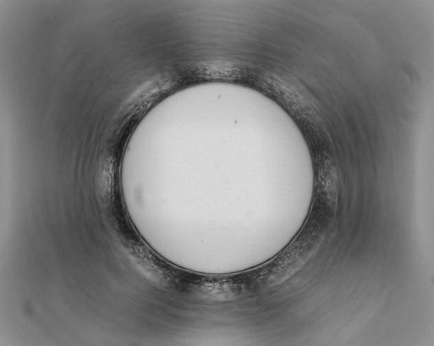 X0000111880744200908131633