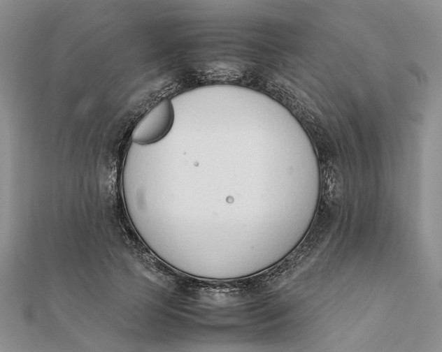 X0000111880745200908131633