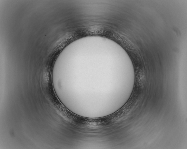 X0000111880746200908131633