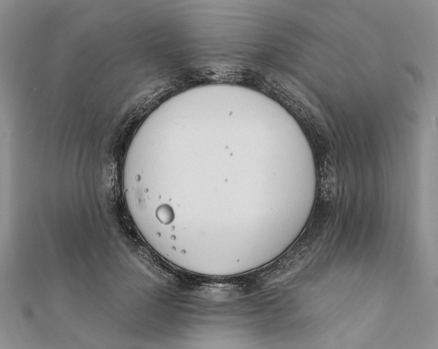 X0000111880748200908131633