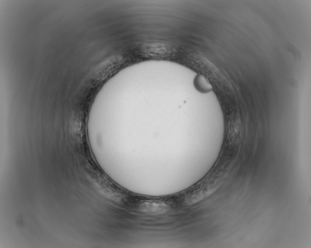 X0000111880749200908131633