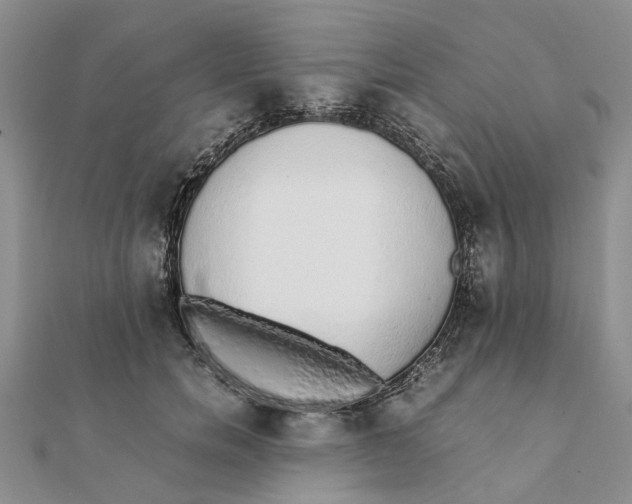 X0000111880750200908131633