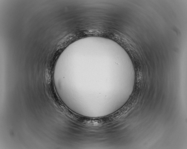 X0000111880751200908131633