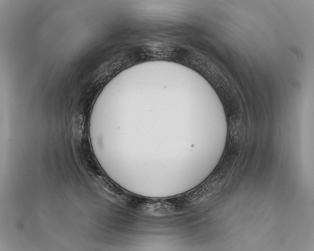 X0000111880752200908131633