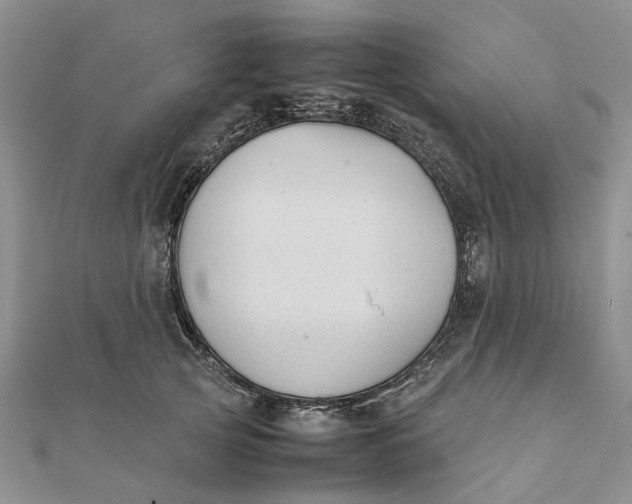 X0000111880753200908131633