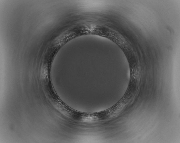 X0000111880754200908131633