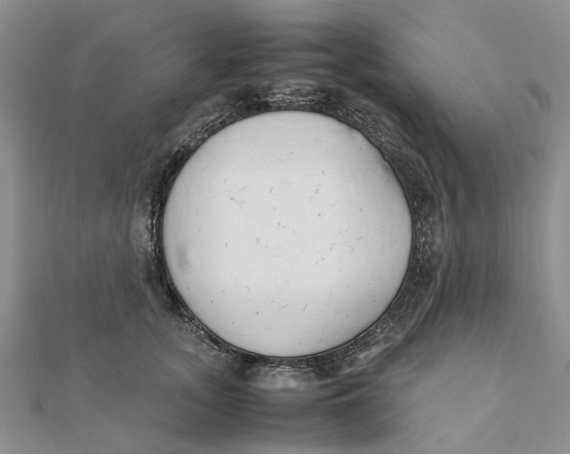 X0000111880755200908131633