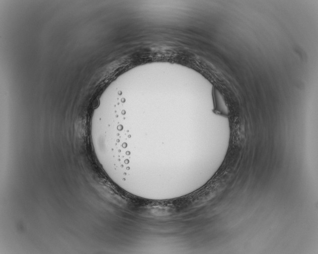 X0000111880756200908131633