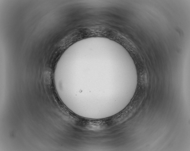 X0000111880757200908131633