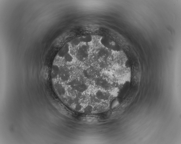 X0000111880758200908131633