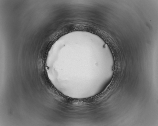 X0000111880759200908131633