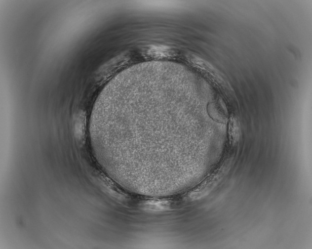 X0000111880760200908131633