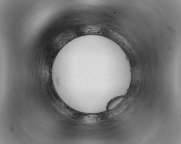 X0000111880761200908131633