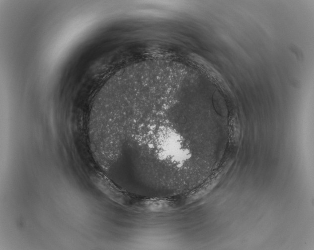 X0000111880762200908131633