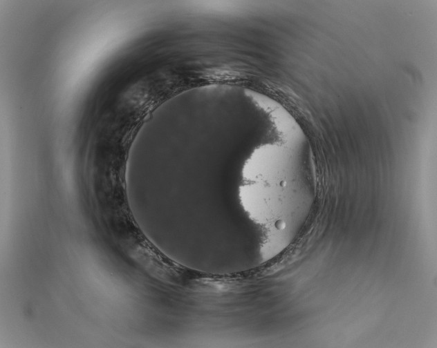 X0000111880763200908131633