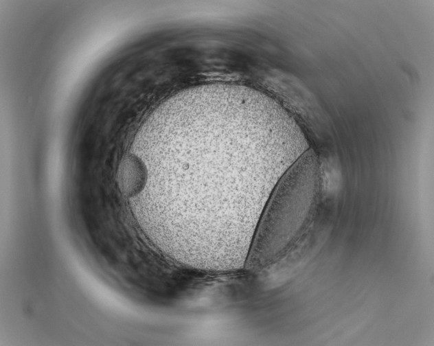 X0000111880764200908131633