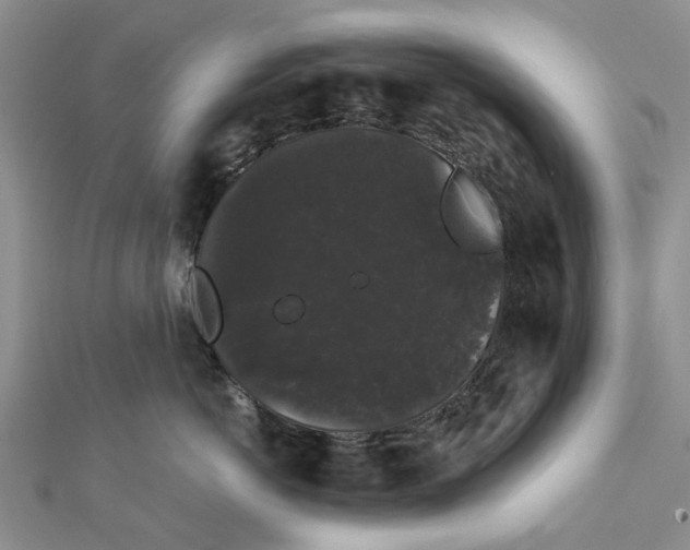 X0000111880766200908131633