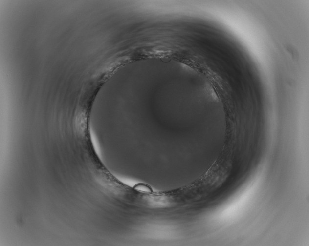 X0000111880767200908131633