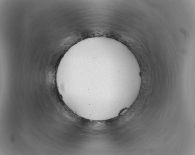 X0000111880768200908131633