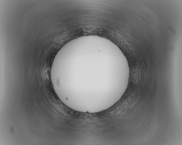 X0000111880770200908131633