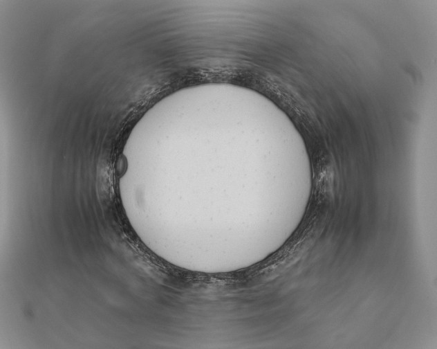 X0000111880772200908131633