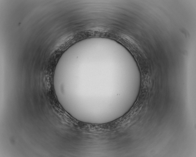 X0000111880774200908131633