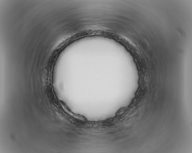 X0000111880775200908131633