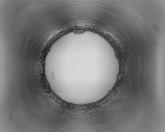 X0000111880776200908131633