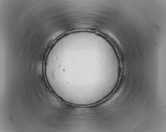 X0000111880777200908131633