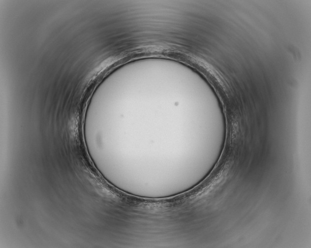 X0000111880778200908131633