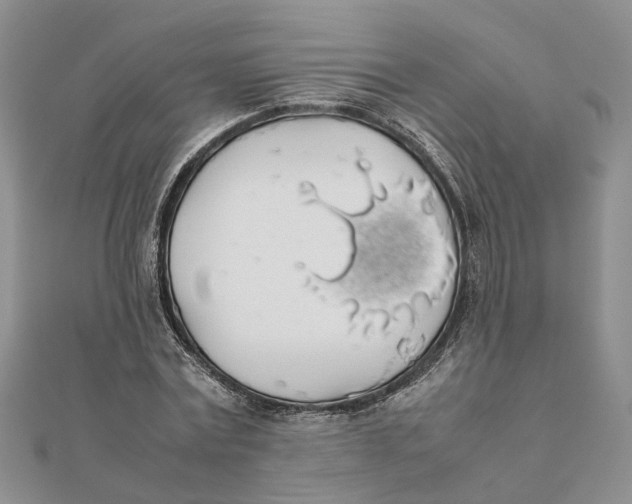 X0000111880779200908131633