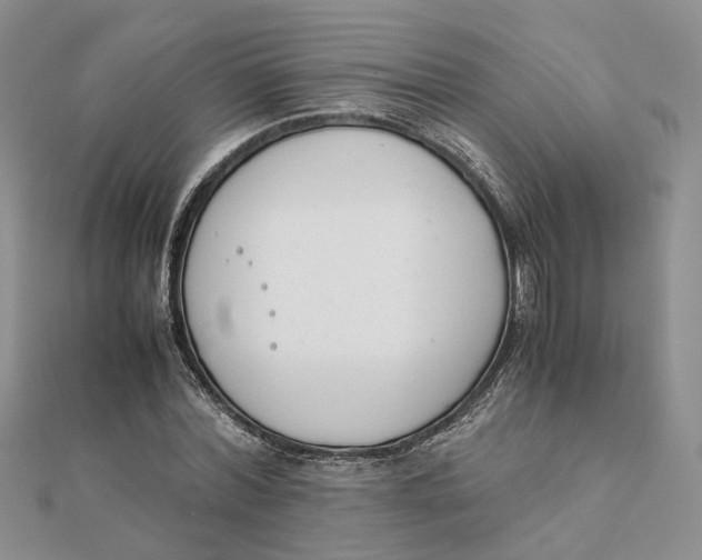 X0000111880780200908131633