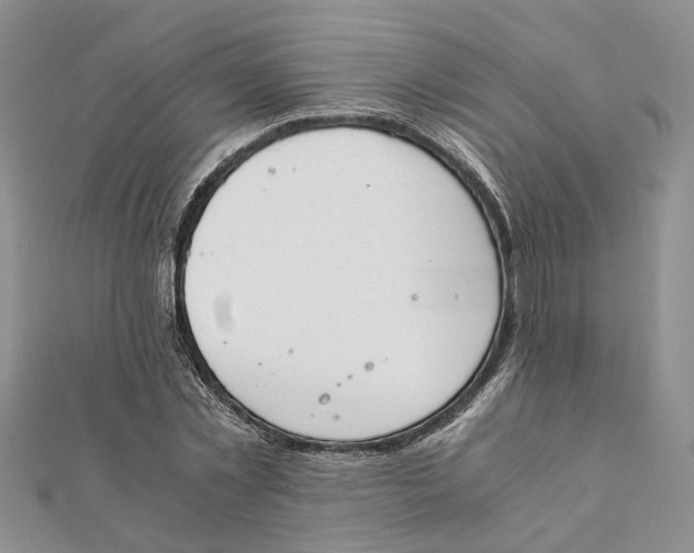 X0000111880781200908131633