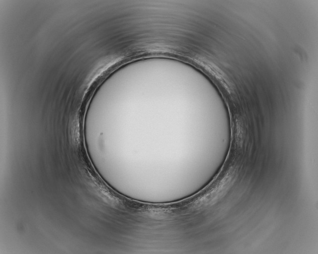 X0000111880782200908131633