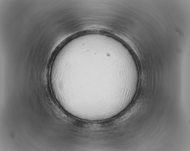 X0000111880783200908131633