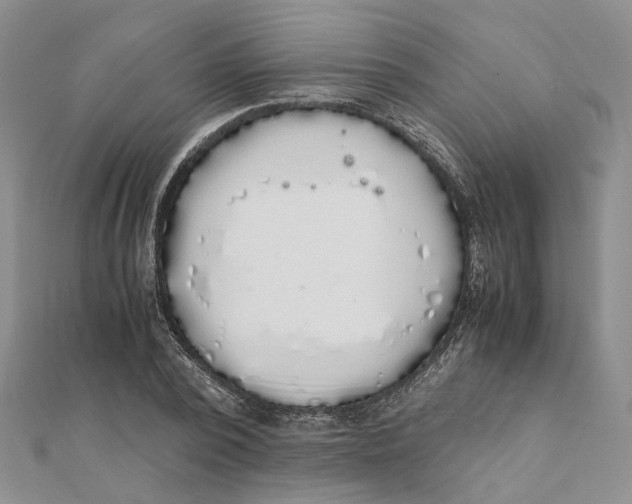 X0000111880784200908131633